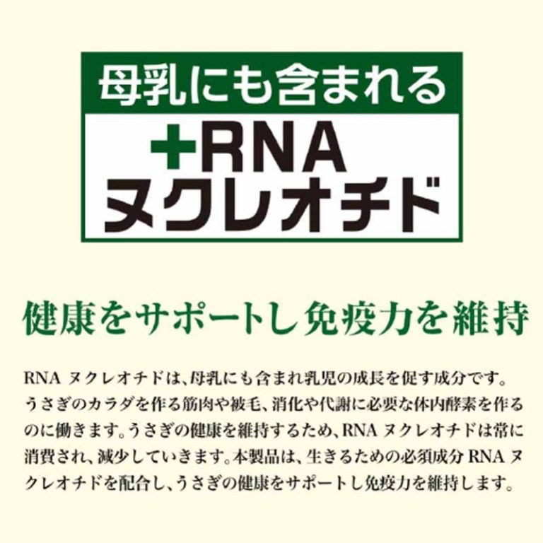 vh-2133902800978