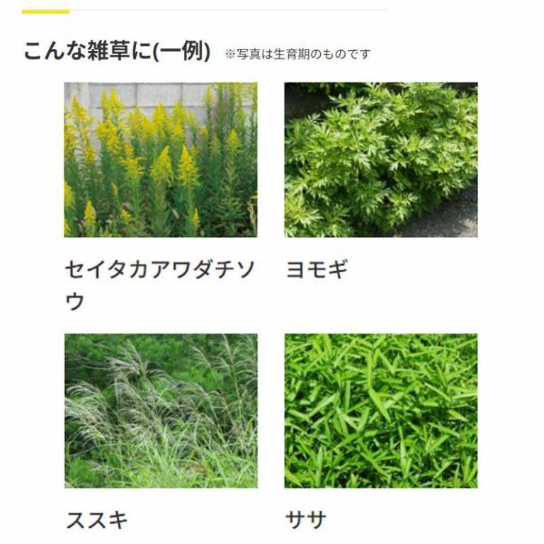 即納在庫品] レインボー薬品 ネコソギトップF粒剤 10Kg×2袋 除草剤 粒