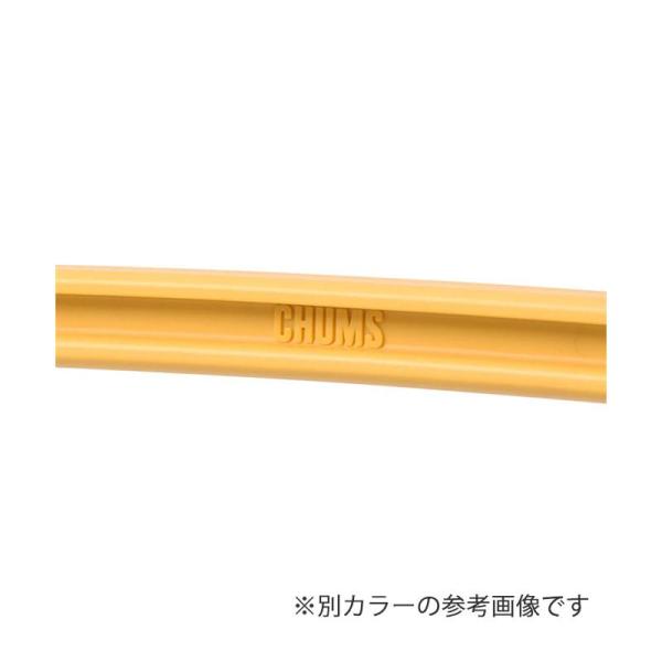 チャムス キャンパークーラー 18L ミント/クリーム