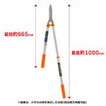 vh-4907052717275