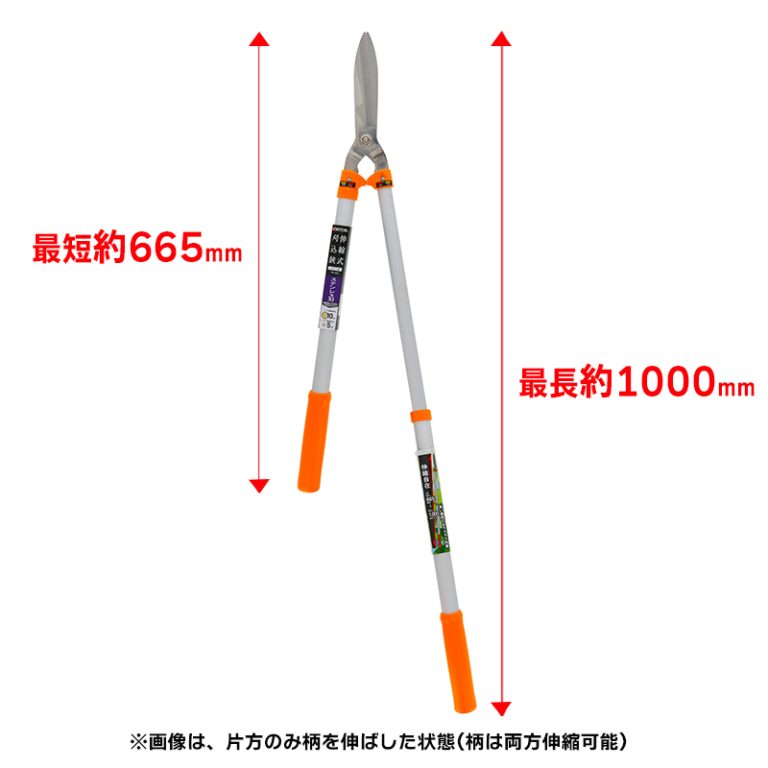 vh-4907052717275