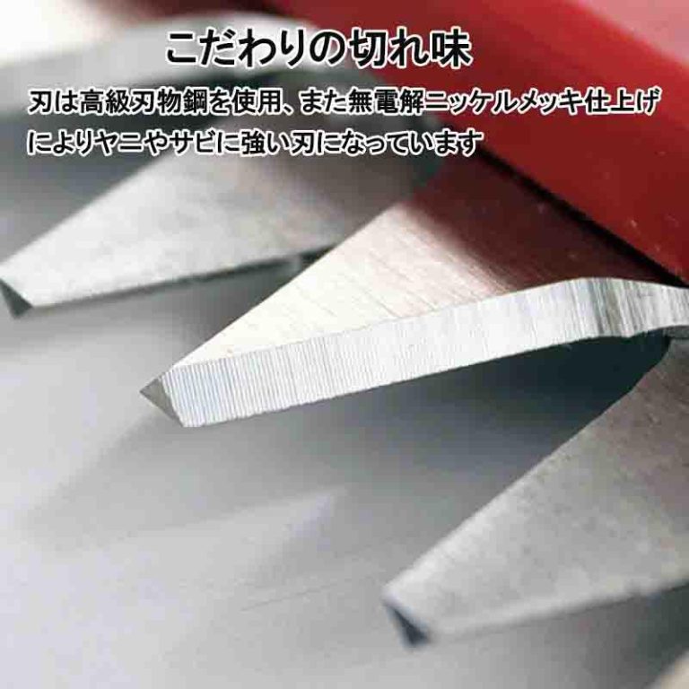 vh-4964590850055