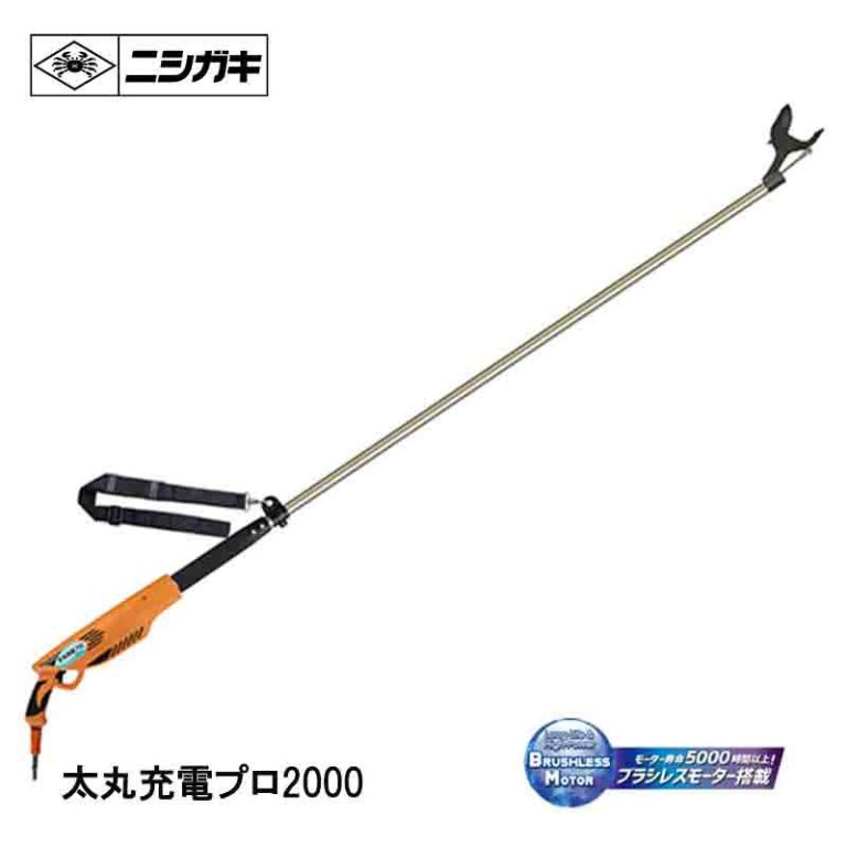 vh-4964590930030