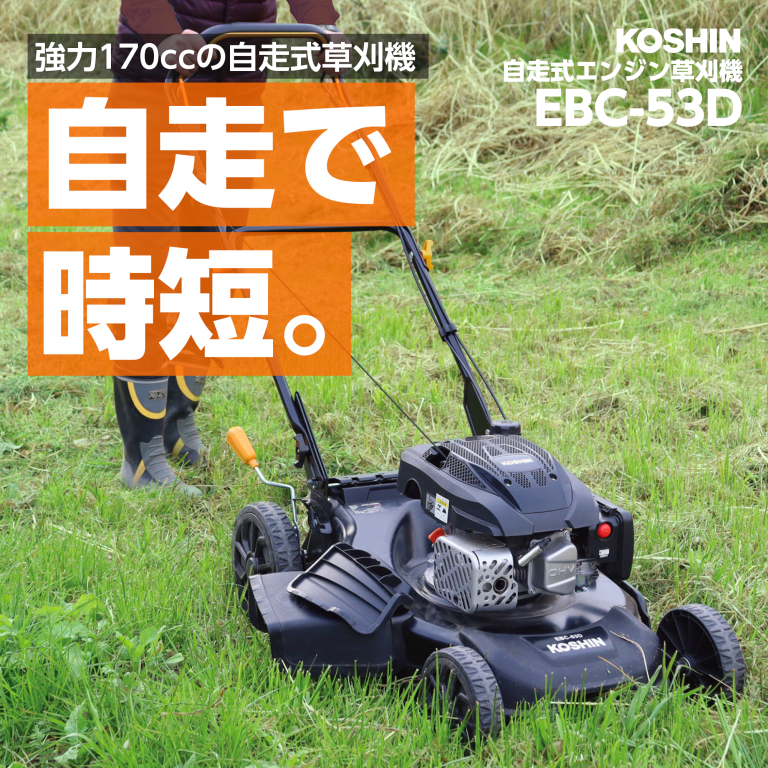 vh-4971770000025