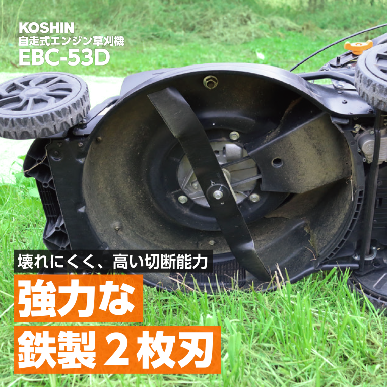 vh-4971770000025