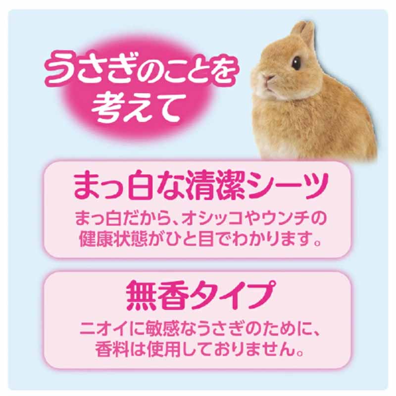 かつ　新品　最高級品質片面印刷シークレット版シーツおまけ付き 楽天市場】【12時間限定☆クーポンで10％OFF】【化学繊維が苦手