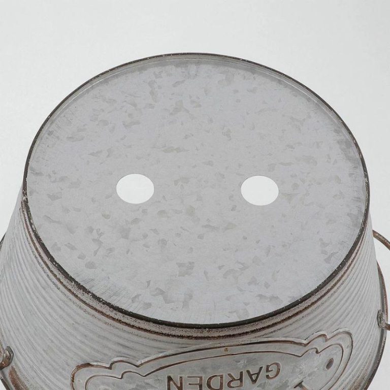 vh-4975970258958