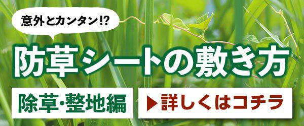 意外と簡単!? 防草シート -除草・整地編-