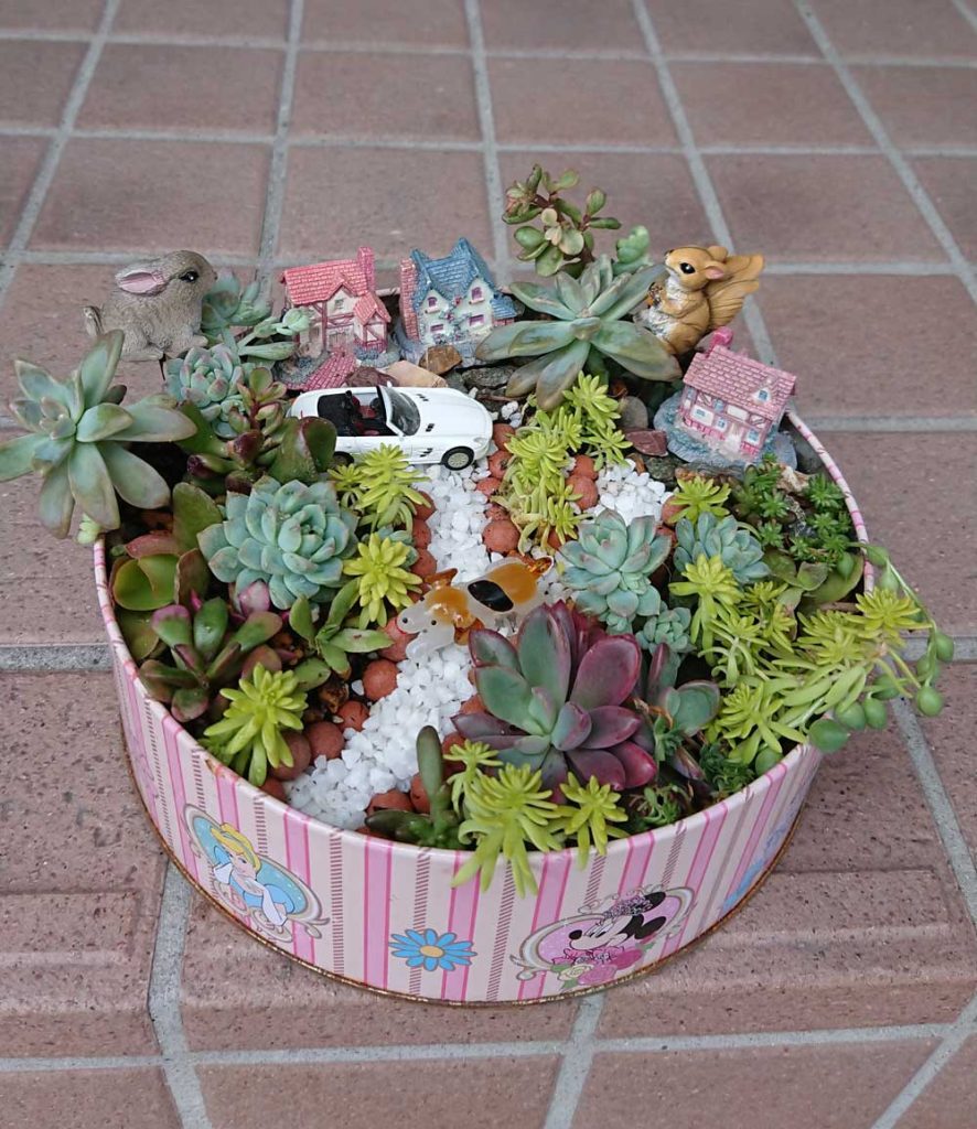 優秀 オリーブさん「タニク植物で箱庭」