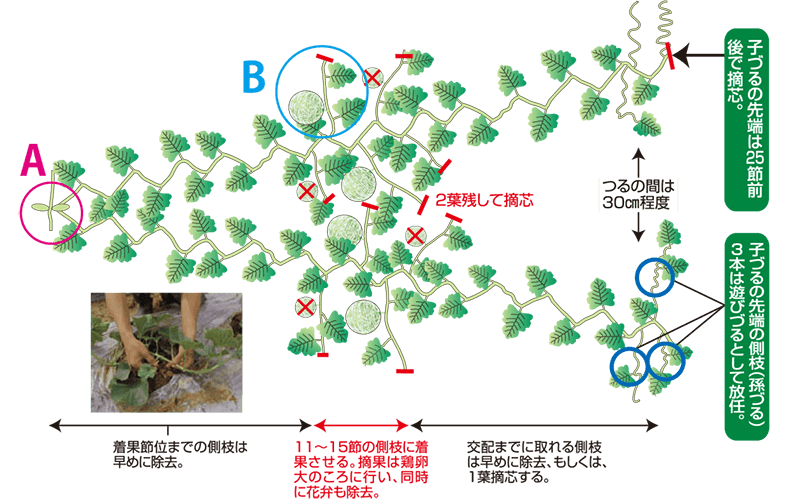 支柱立て方01