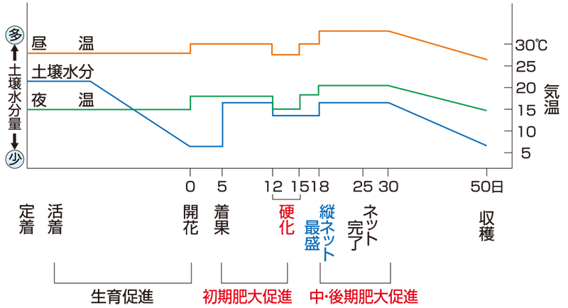 水やりグラフ