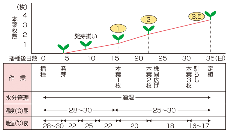 育苗管理