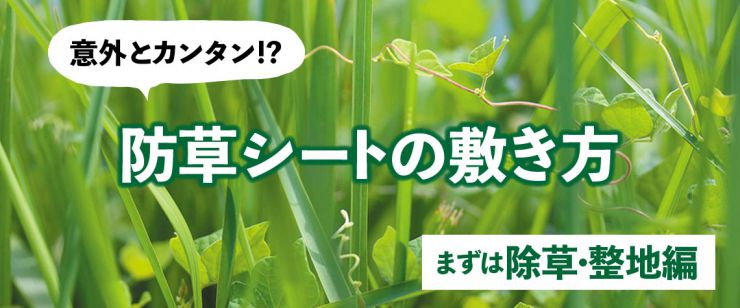 意外と簡単!? 防草シート -除草・整地編-