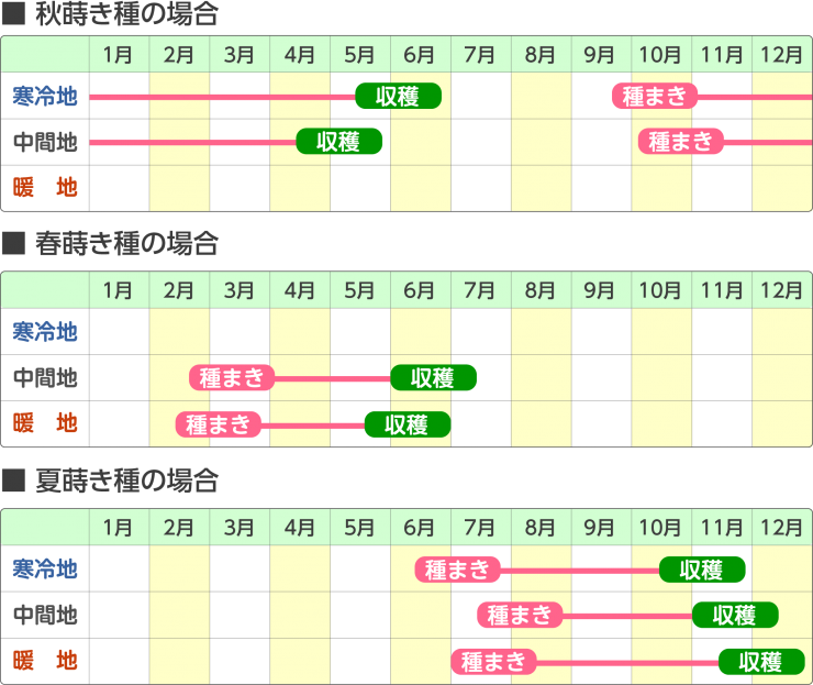 育成スケジュール