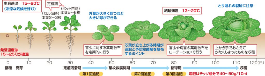 スケジュール