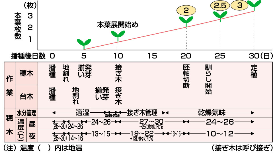 育苗管理