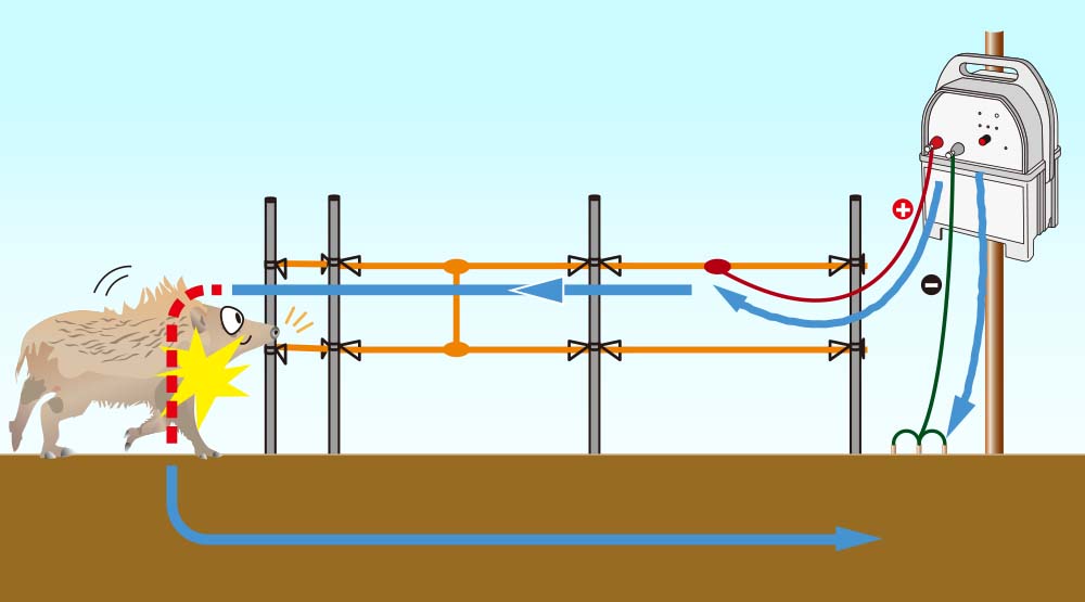 電気柵の効果