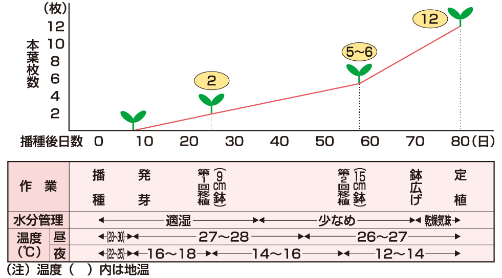 育苗管理