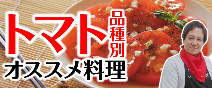 トマトの品種別オススメ料理!