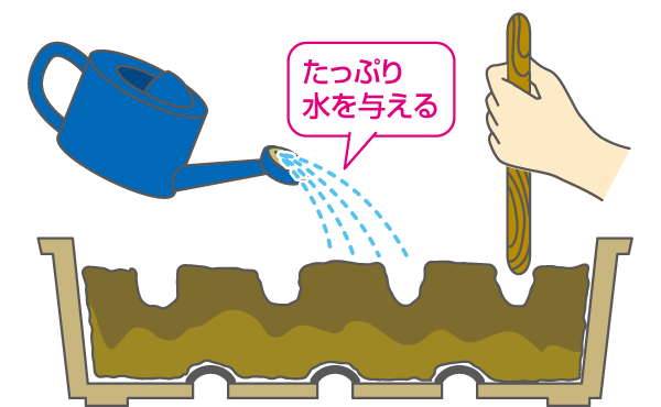 水を与える