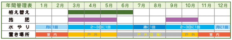 栽培年間スケジュール