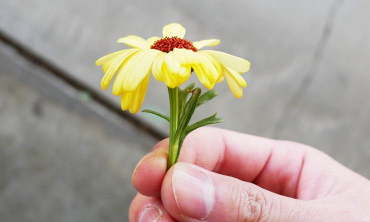 花が反る