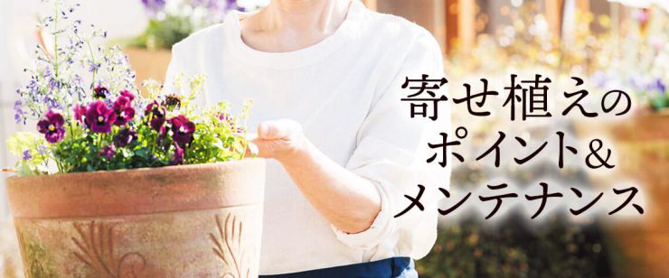 寄せ植え豆知識