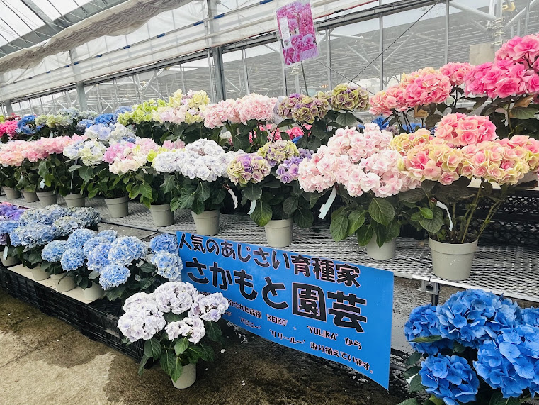 群馬県のさかもと園芸様