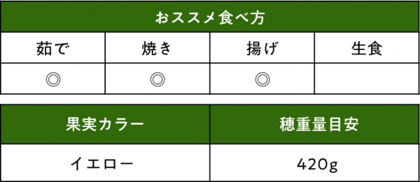 トウモロコシ おひさまコーン８８