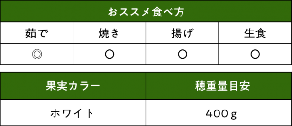 トウモロコシ ピュアホワイト