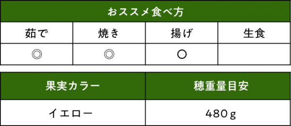 トウモロコシ 恵味スター