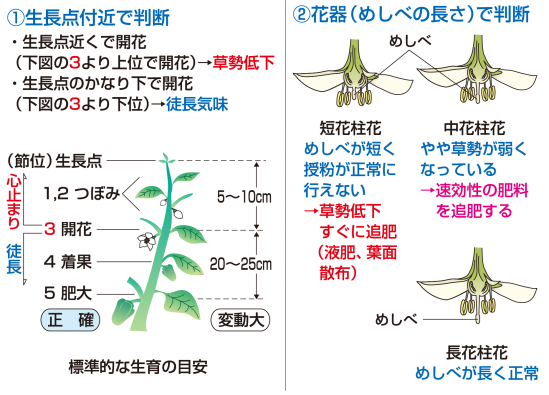 草勢判断