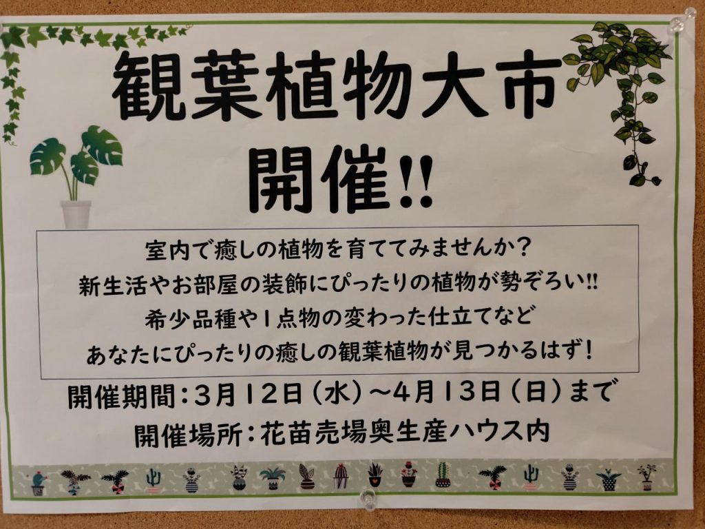 観葉植物大市案内